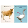 107655 Animais da Fazenda 3